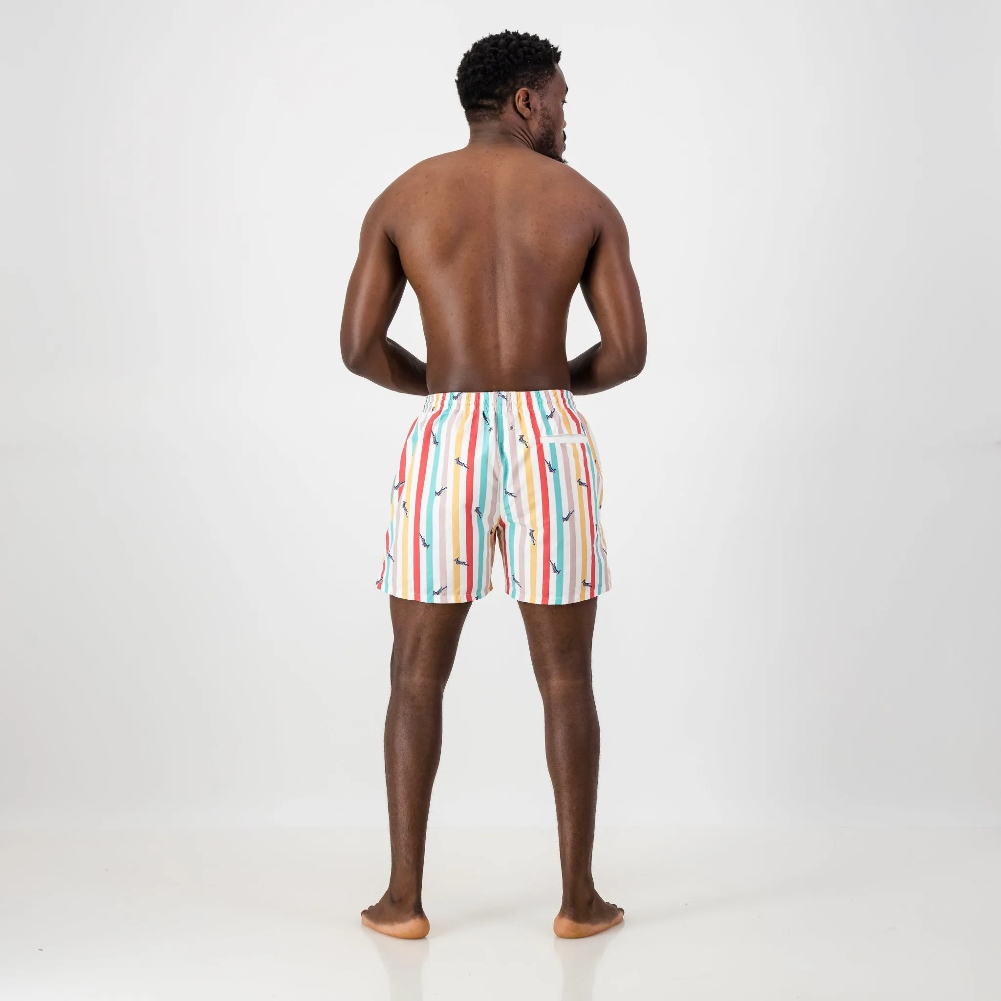 Springboks Candy Stripe Swim Short