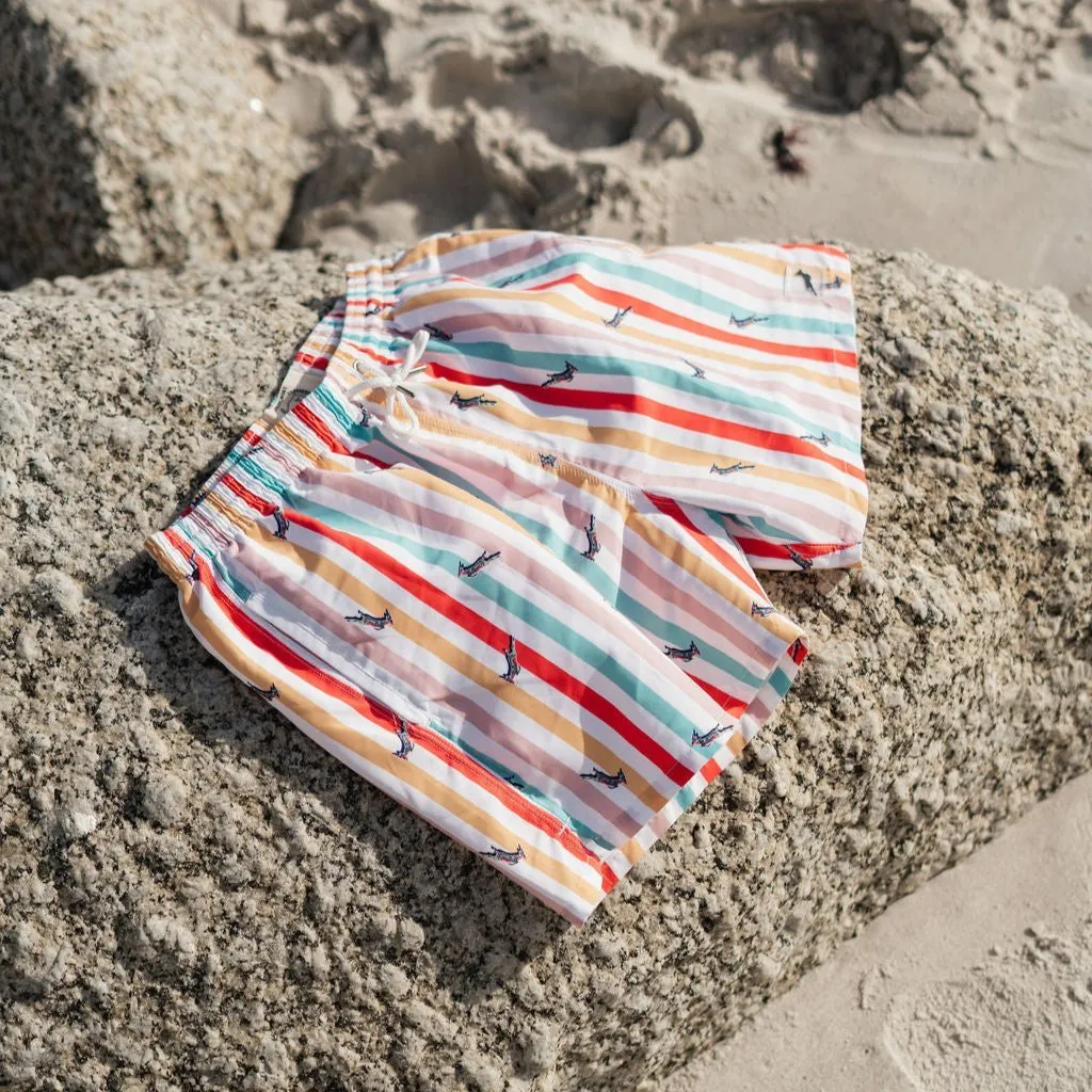 Springboks Candy Stripe Swim Short