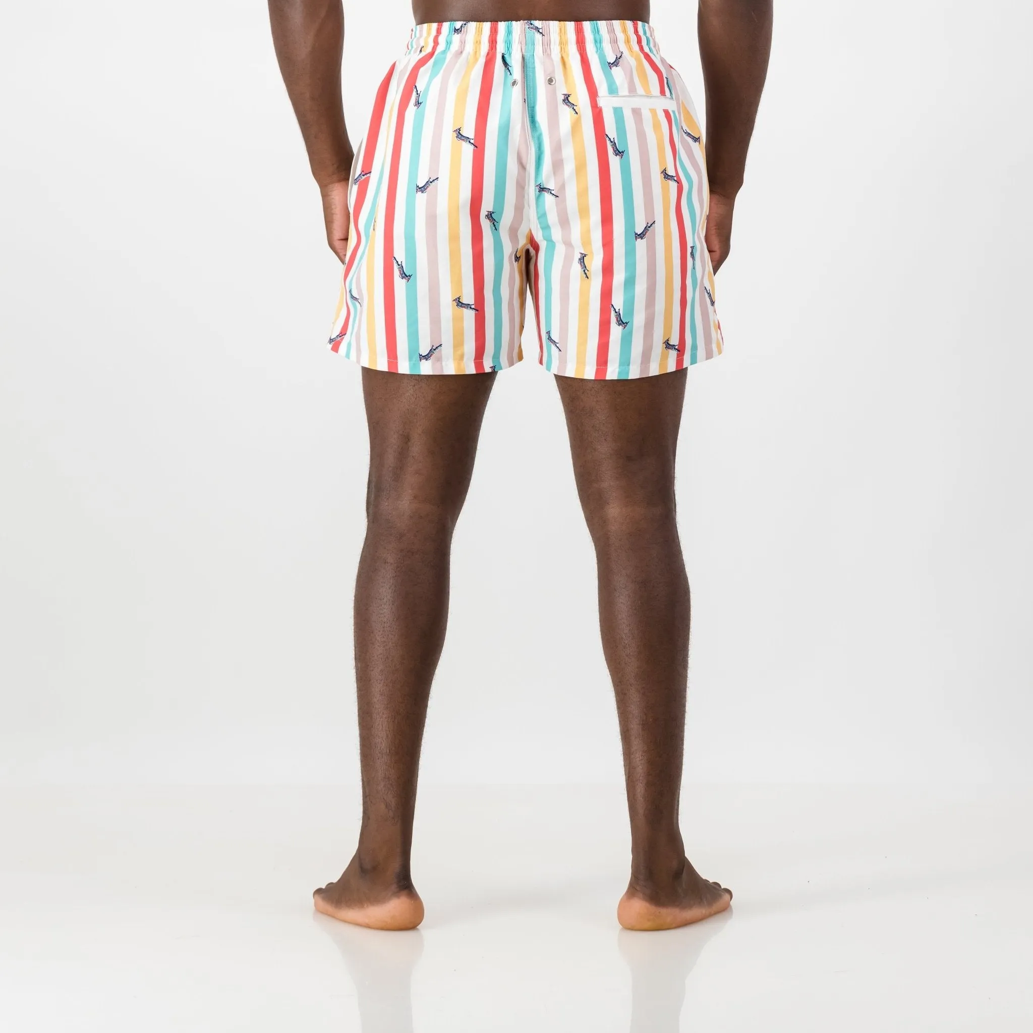 Springboks Candy Stripe Swim Short