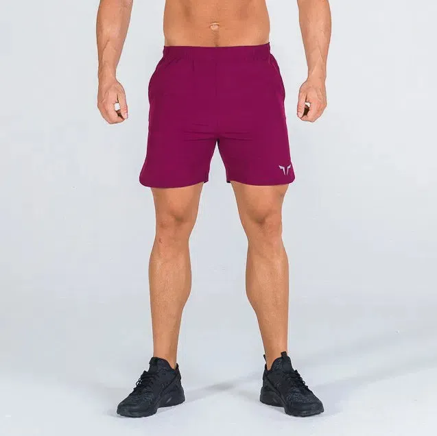 SQUATWOLF Men's 2-in-1 Dry Tech Shorts